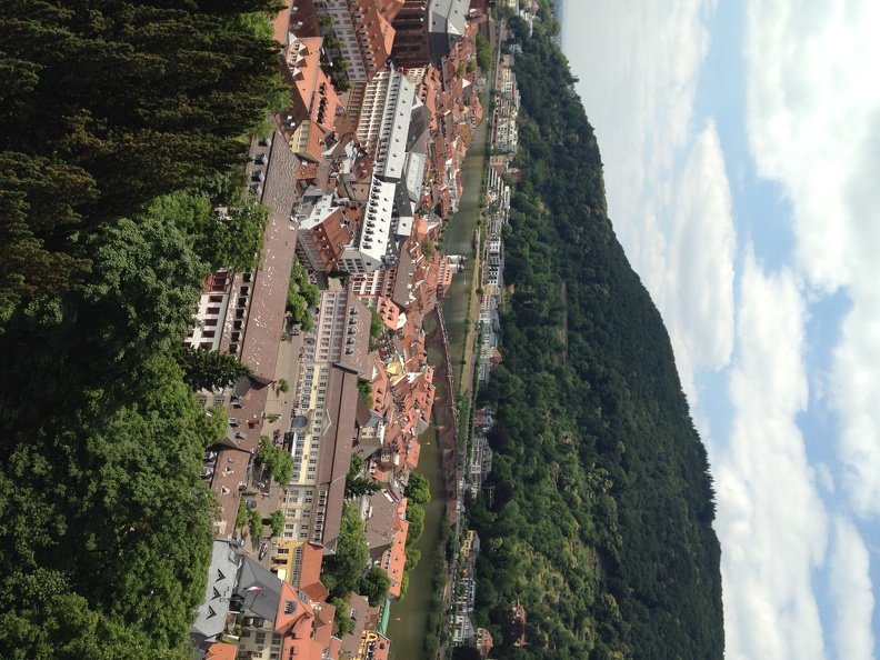 Heidelberg View from Schloss2